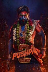 Pushpa 2 – The Rule Top Class Movie